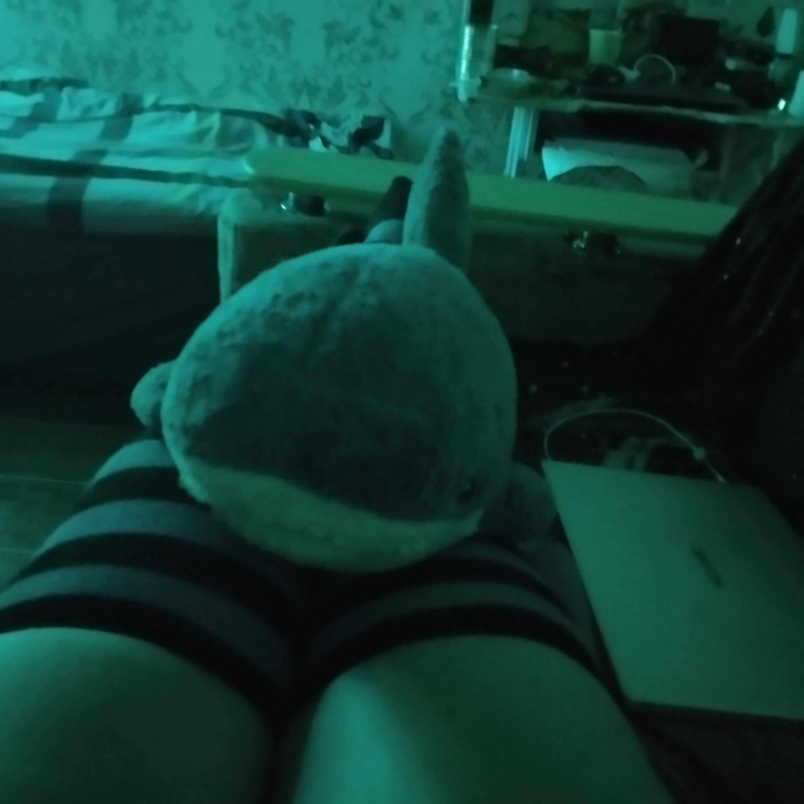 Photo 4