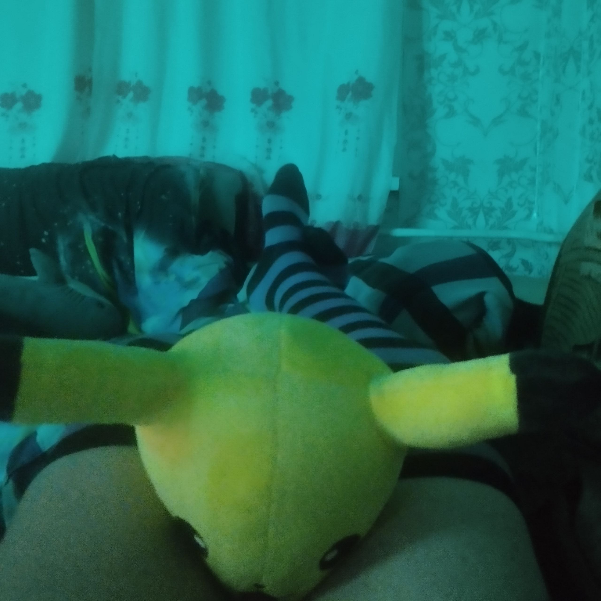 Photo 7